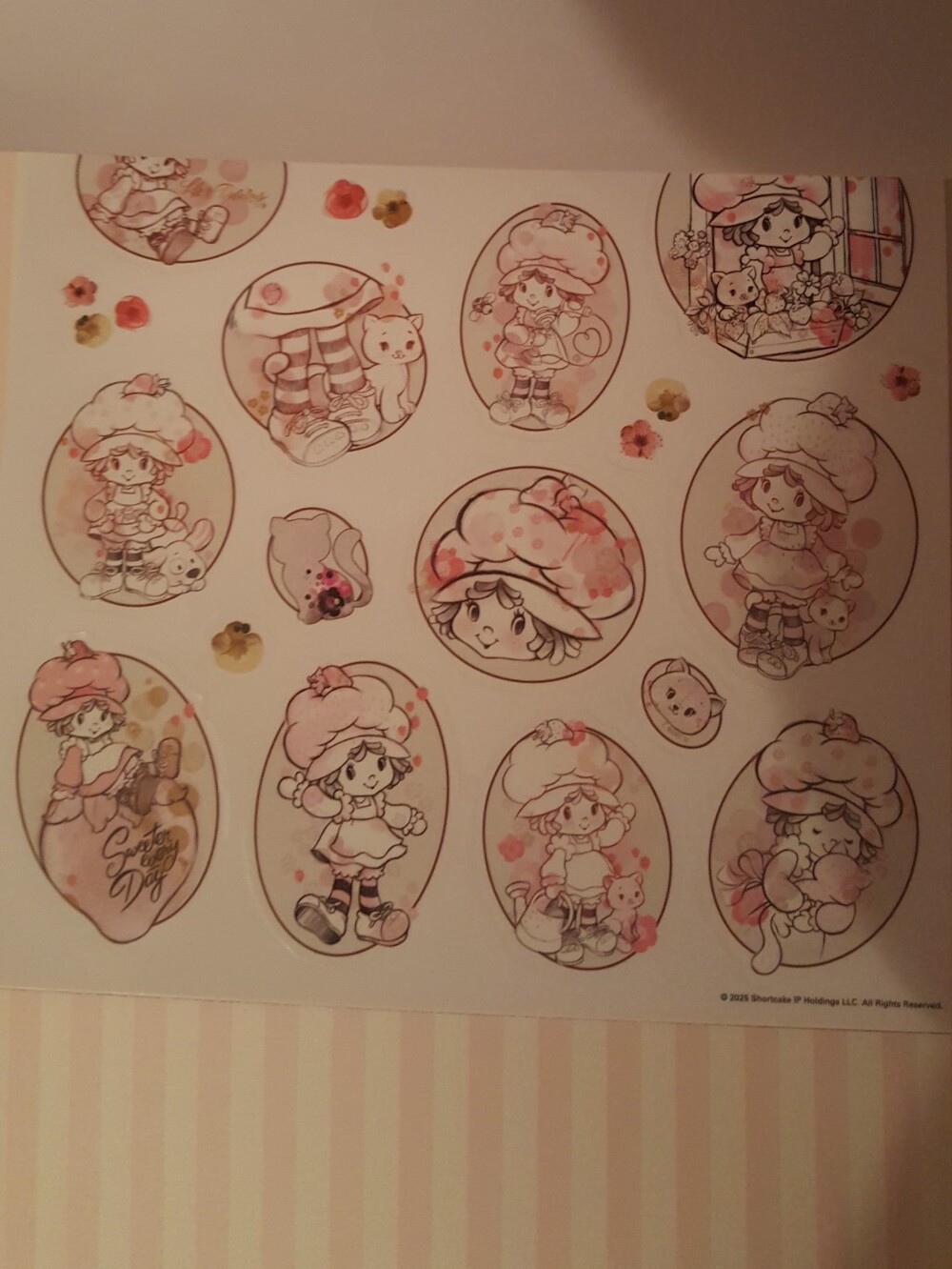 The World of Strawberry Shortcake Stickerland Embellished Stickers - Red & Pink - Picture 5 of 8